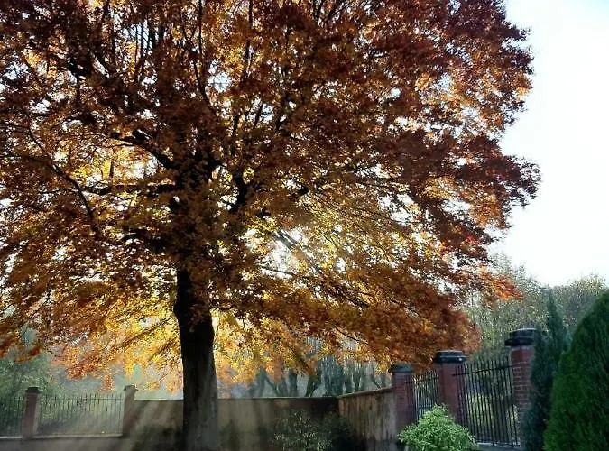 Chateau De La Malmaison